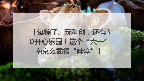 包粽子、玩科创，还有3D开心乐园！这个“六一”南京玄武很“哇塞”