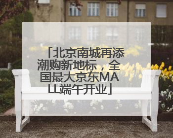 北京南城再添潮购新地标，全国最大京东MALL端午开业