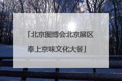 北京图博会北京展区奉上京味文化大餐
