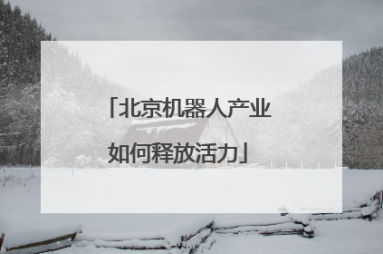 北京机器人产业如何释放活力
