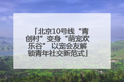 北京10号线“青创村”变身“萌宠欢乐谷” 以宠会友解锁青年社交新范式