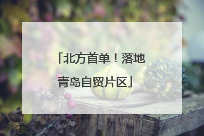 北方首单！落地青岛自贸片区