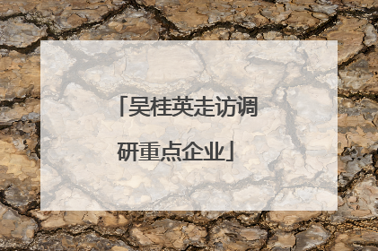 吴桂英走访调研重点企业
