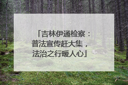 吉林伊通检察：普法宣传赶大集，法治之行暖人心