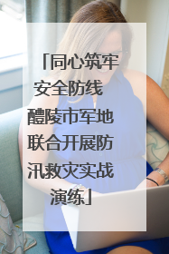 同心筑牢安全防线 醴陵市军地联合开展防汛救灾实战演练