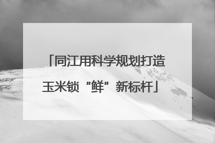 同江用科学规划打造玉米锁“鲜”新标杆
