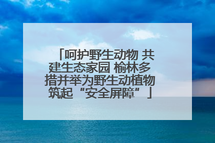 呵护野生动物 共建生态家园 榆林多措并举为野生动植物筑起“安全屏障”