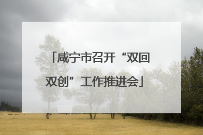 咸宁市召开“双回双创”工作推进会