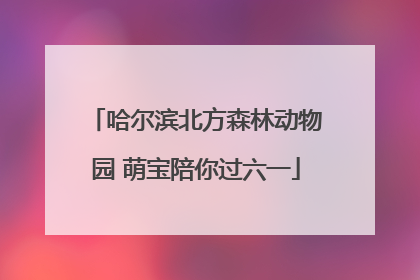 哈尔滨北方森林动物园 萌宝陪你过六一