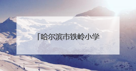 哈尔滨市铁岭小学校第二十七届春季田径运动会圆满举行
