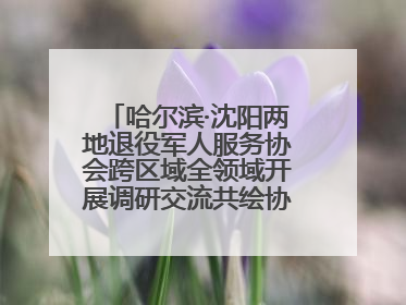 哈尔滨·沈阳两地退役军人服务协会跨区域全领域开展调研交流共绘协同发展