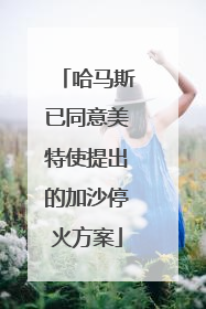 哈马斯已同意美特使提出的加沙停火方案