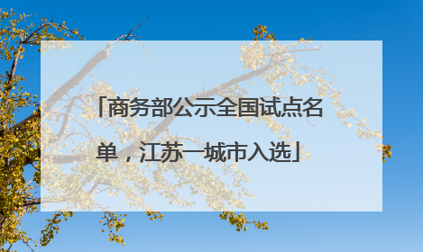 商务部公示全国试点名单，江苏一城市入选