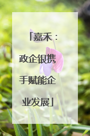 嘉禾：政企银携手赋能企业发展
