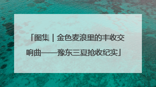 图集｜金色麦浪里的丰收交响曲——豫东三夏抢收纪实