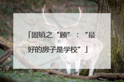 固镇之“顾”：“最好的房子是学校”
