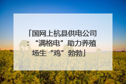 国网上杭县供电公司：“满格电”助力养殖场生“鸡”勃勃