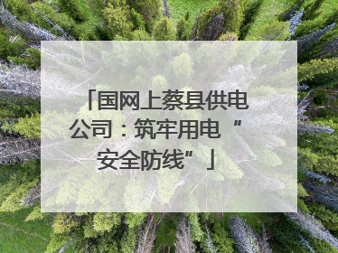 国网上蔡县供电公司：筑牢用电“安全防线”
