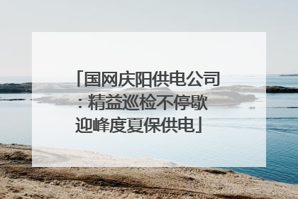 国网庆阳供电公司：精益巡检不停歇 迎峰度夏保供电