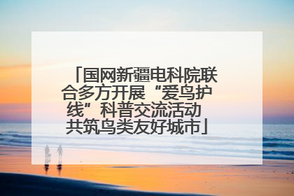 国网新疆电科院联合多方开展“爱鸟护线”科普交流活动 共筑鸟类友好城市