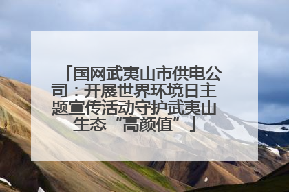 国网武夷山市供电公司：开展世界环境日主题宣传活动守护武夷山生态“高颜值”