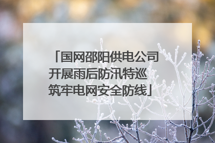 国网邵阳供电公司开展雨后防汛特巡 筑牢电网安全防线
