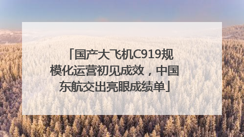 国产大飞机C919规模化运营初见成效，中国东航交出亮眼成绩单