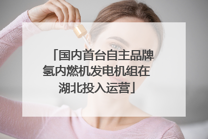 国内首台自主品牌氢内燃机发电机组在湖北投入运营