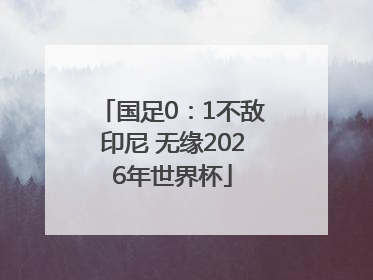 国足0：1不敌印尼 无缘2026年世界杯