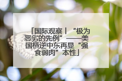 国际观察丨“极为恶劣的先例”——美国横逆中东再显“强食弱肉”本性