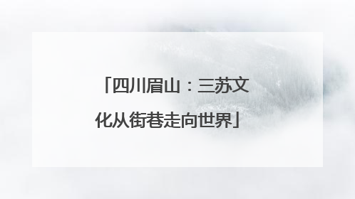 四川眉山：三苏文化从街巷走向世界