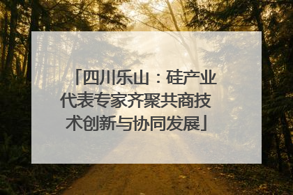 四川乐山：硅产业代表专家齐聚共商技术创新与协同发展