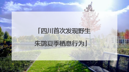 四川首次发现野生朱鹮夏季栖息行为