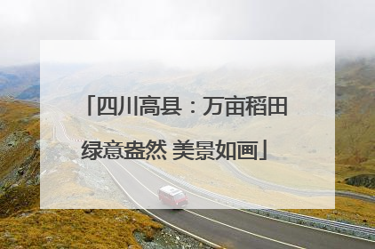 四川高县：万亩稻田绿意盎然 美景如画