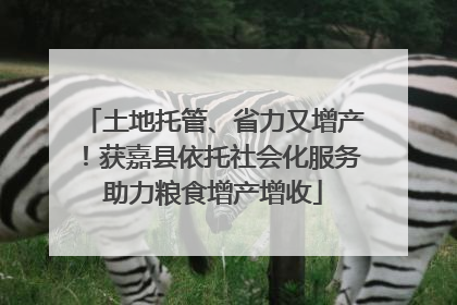 土地托管、省力又增产！获嘉县依托社会化服务助力粮食增产增收