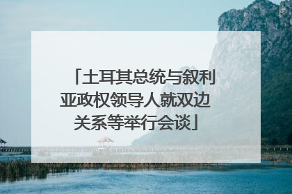 土耳其总统与叙利亚政权领导人就双边关系等举行会谈