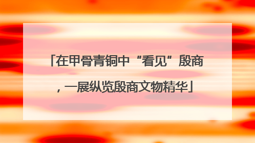在甲骨青铜中“看见”殷商，一展纵览殷商文物精华