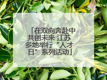 在双向奔赴中共创未来 江苏多地举行“人才日”系列活动