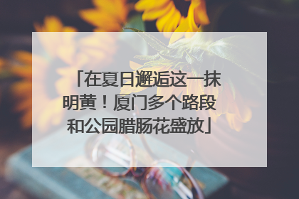 在夏日邂逅这一抹明黄！厦门多个路段和公园腊肠花盛放