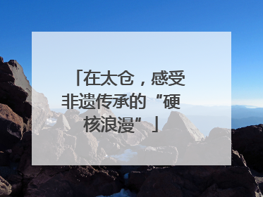 在太仓，感受非遗传承的“硬核浪漫”