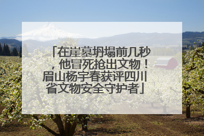 在崖墓坍塌前几秒，他冒死抢出文物！眉山杨宇春获评四川省文物安全守护者
