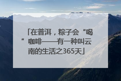 在普洱，粽子会“喝”咖啡——有一种叫云南的生活之365天