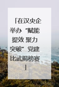 在汉央企举办“赋能提效 聚力突破”党建比武揭榜赛