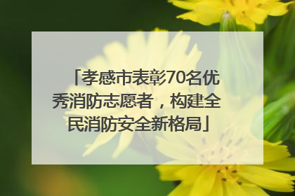 孝感市表彰70名优秀消防志愿者，构建全民消防安全新格局