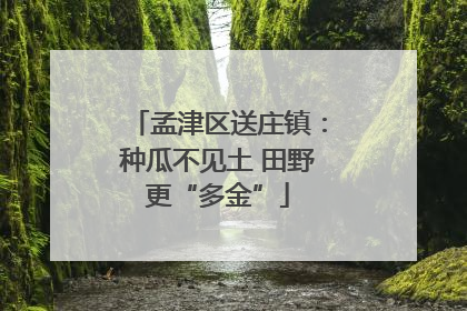 孟津区送庄镇：种瓜不见土 田野更“多金”