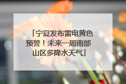 宁夏发布雷电黄色预警！未来一周南部山区多降水天气