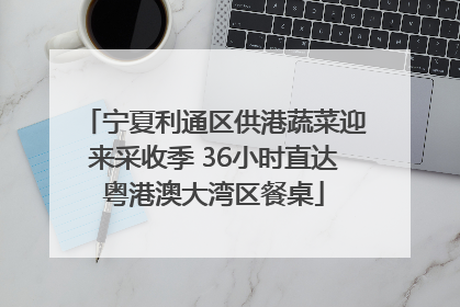 宁夏利通区供港蔬菜迎来采收季 36小时直达粤港澳大湾区餐桌