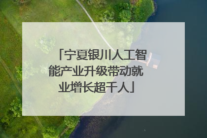 宁夏银川人工智能产业升级带动就业增长超千人