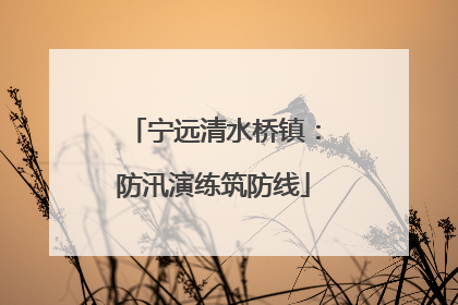 宁远清水桥镇：防汛演练筑防线