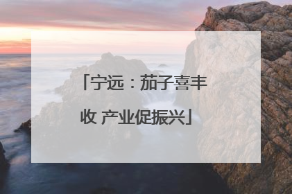宁远：茄子喜丰收 产业促振兴
